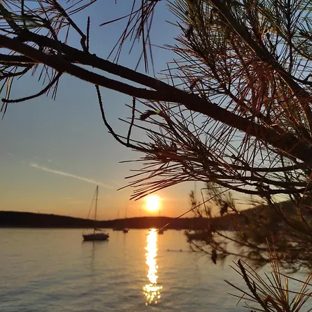 Blue&green * Miholašćica