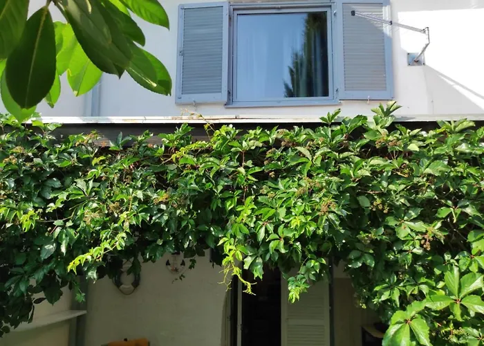 Blue&green Apartman Miholašćica