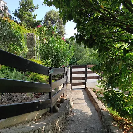 Blue&green Appartement *