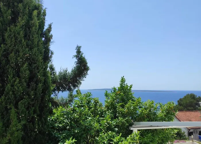 Blue&green *
