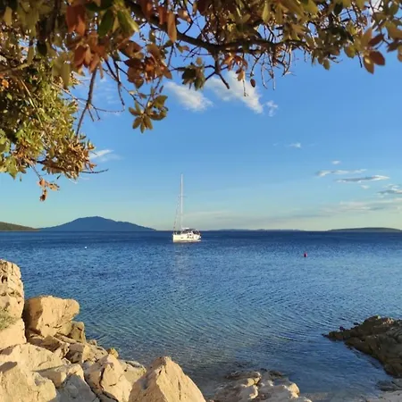 Blue&green Miholascica