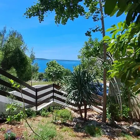 Blue&green * Miholascica