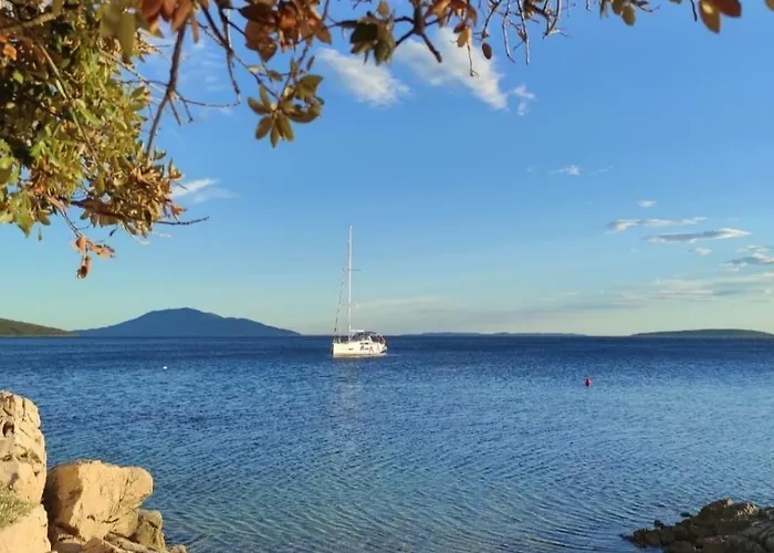 Blue&green Miholascica